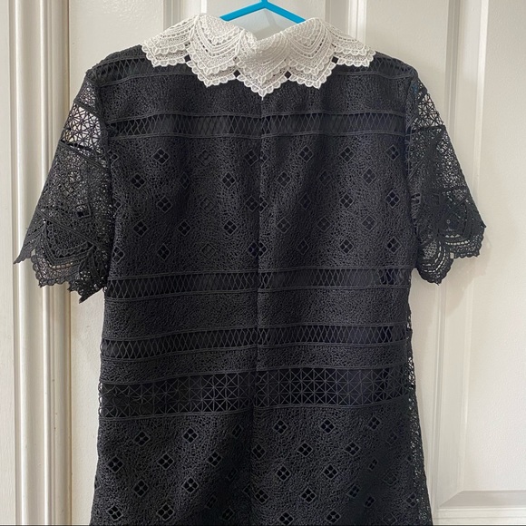 NWT Zara Black Lace Collared Shift A Line Dress XS - Picture 11 of 14